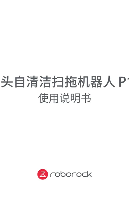 roborock 石头科技P10
